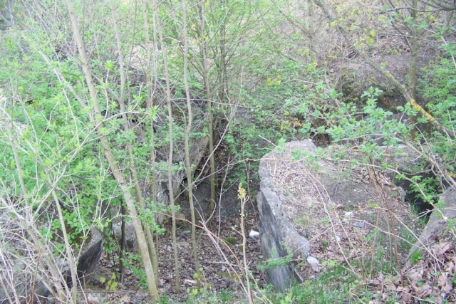 pozostałości schronów (10)