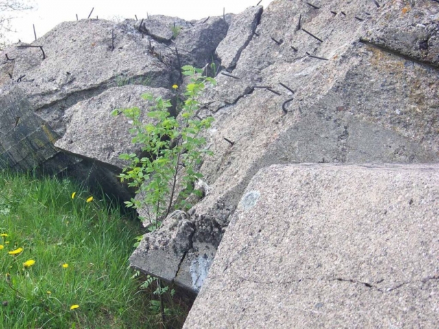 pozostałości schronów (39)